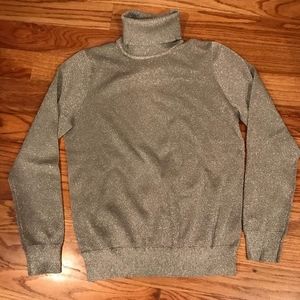 Silver JCrew sweater